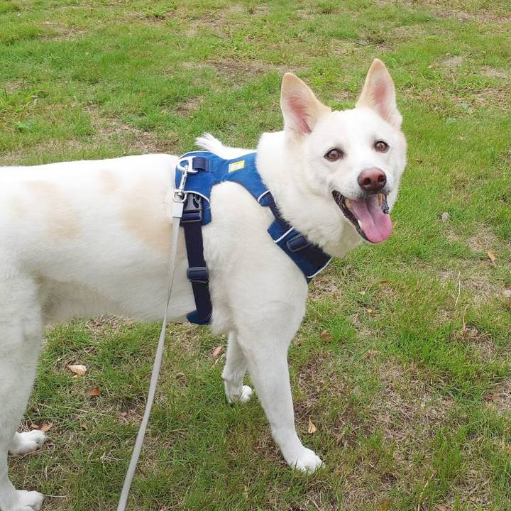 7f594ff3 3d5e 4e06 a5de f3ecc371adfc 1696130731927