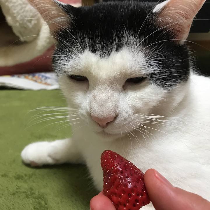 7f598dac 4f67 4d76 a057 f4b628f1840f 1523375592448