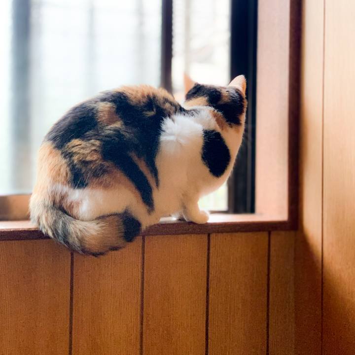 7f59a6a9 36e7 45cc 9470 6245bf5917fc 1589763690681