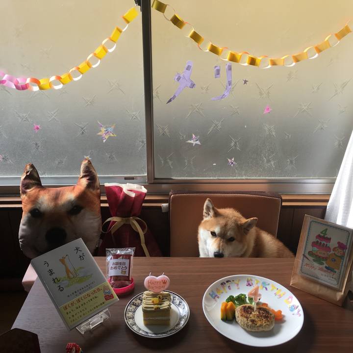 7f59abda d96d 499f a61e e58e70d5ea48 1541888461792