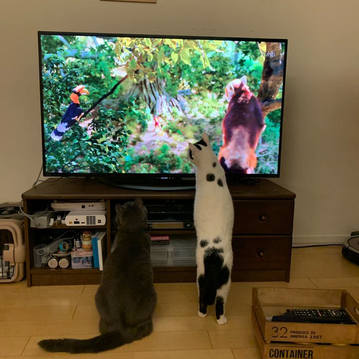 7f59ffaf 919e 4499 9a8a 4aeb0df0a2cc 1591482984132