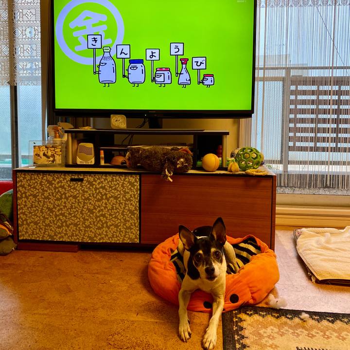 7f5a223c 222e 472c 9848 4ef95506b62a 1602194801543