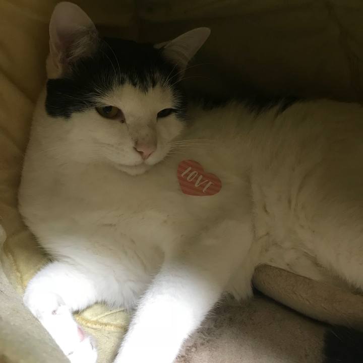 7f5a4176 0663 41ed b634 c67fed3add66 1520859597314