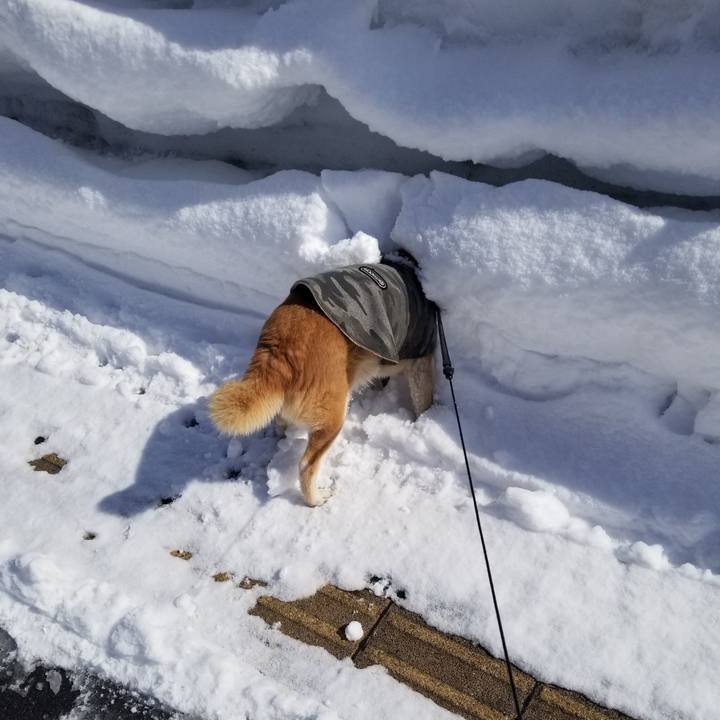 7f5a4567 8e31 43ea a8a3 3028c580a856 1739855923620