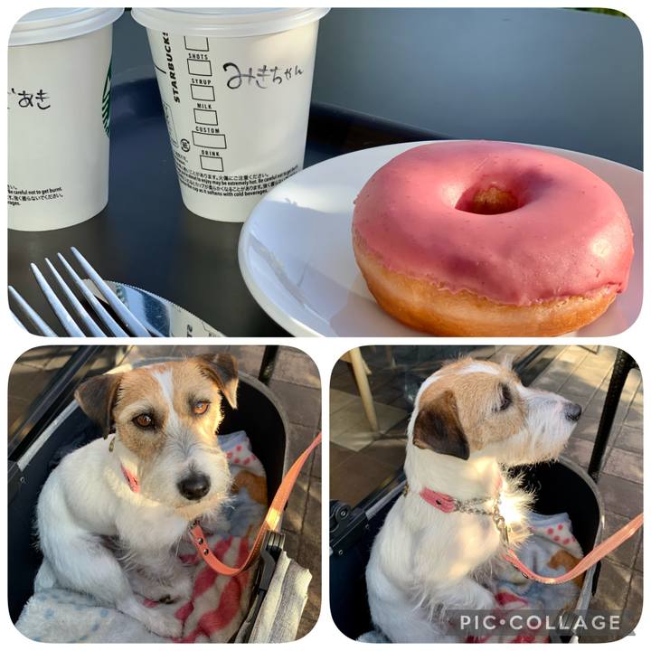 7f5a6950 855d 4873 9eb4 3fc76cbf48e9 1618756341203