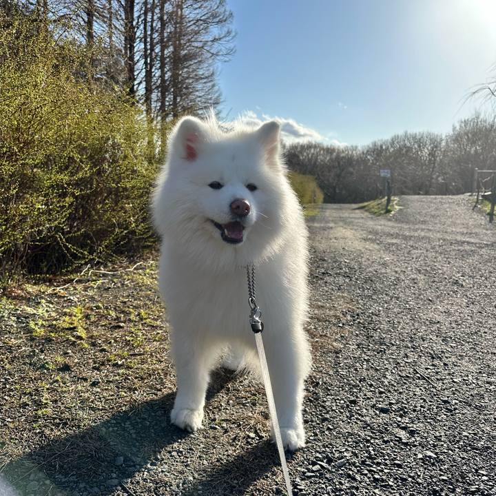 7f5a7316 63e6 4290 8959 2d47be3cbb84 1709281825775