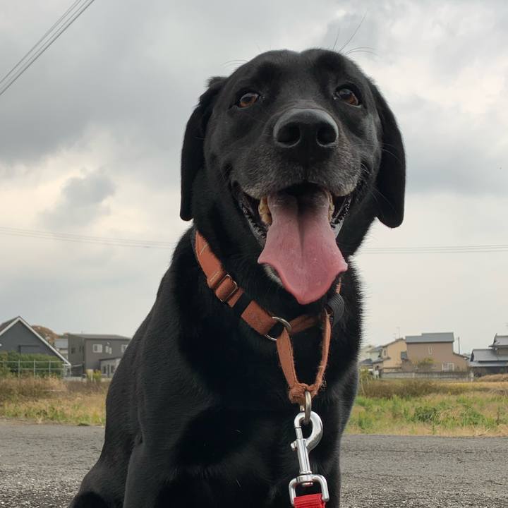 7f5a79c7 5c16 4740 9547 123677a081ea 1683278036347