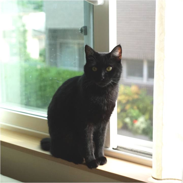 7f5aa823 54d3 4bed 92e4 e8f2c087756c 1529365037189