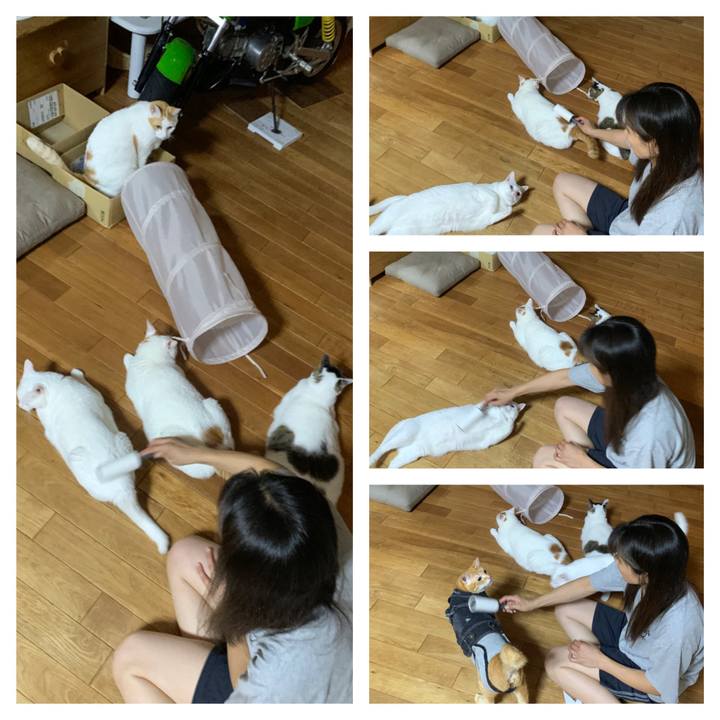 7f5af690 60f9 4f13 9c7c a14f530f32d2 1661948746873