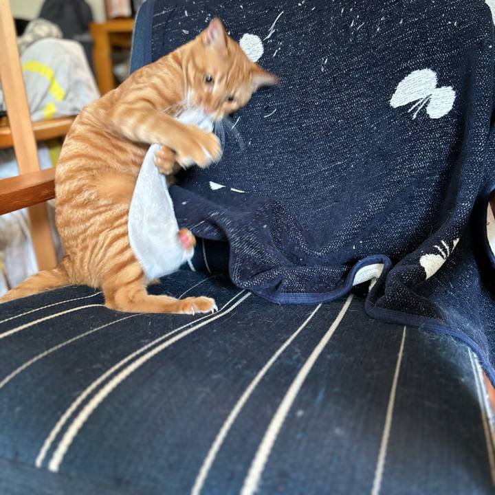 7f5b0439 8904 4115 be4b 0265184f15bd 1696300656482