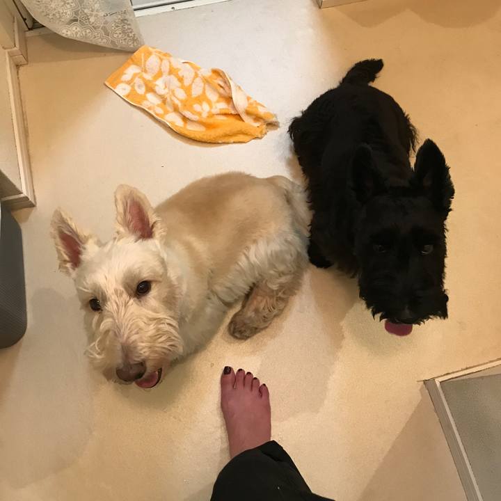 7f5b0e04 97fc 4614 9474 70a0222e8453 1535624111765