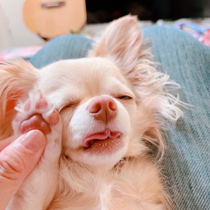 7f5b235b e9de 4d8d 8062 6bdd23fcd60d 1653514839476