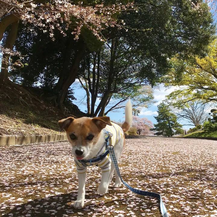 7f5b2d51 212f 406b b624 73dcc4f42e70 1554776590579