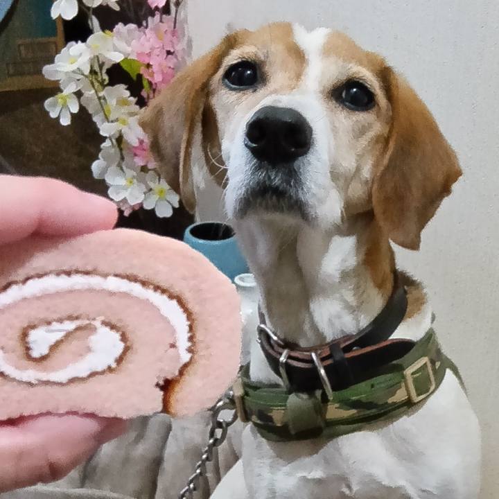 7f5b2e02 50e1 4779 942c 4b481303a8c5 1734247914259