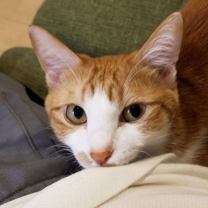 7f5b8ee4 573f 4073 8239 0c30b60414c6 1542984363948