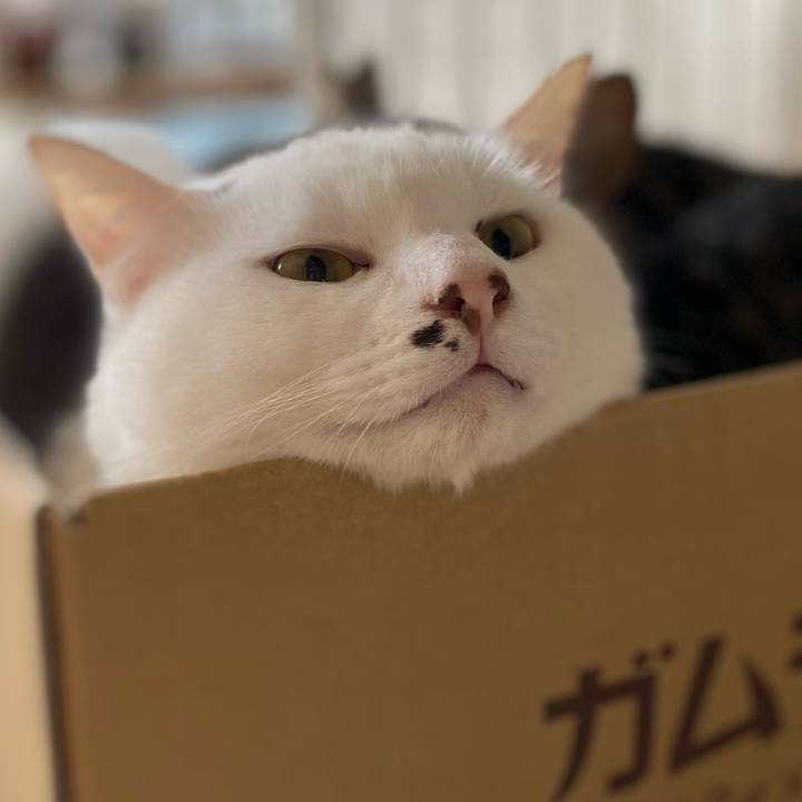 7f5b9954 b4a9 47ab aa20 6b8da485745d 1705997063897