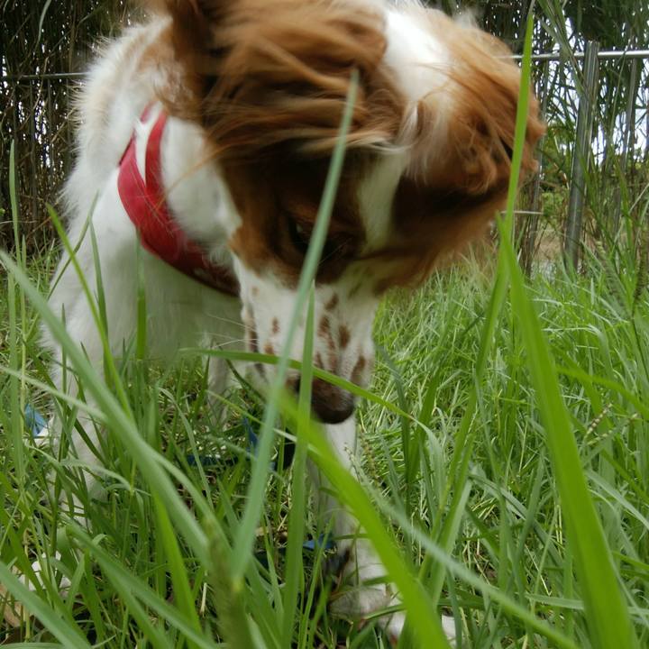 7f5bccce 7086 41f6 9e61 d01f4f0eae36 1534724732664