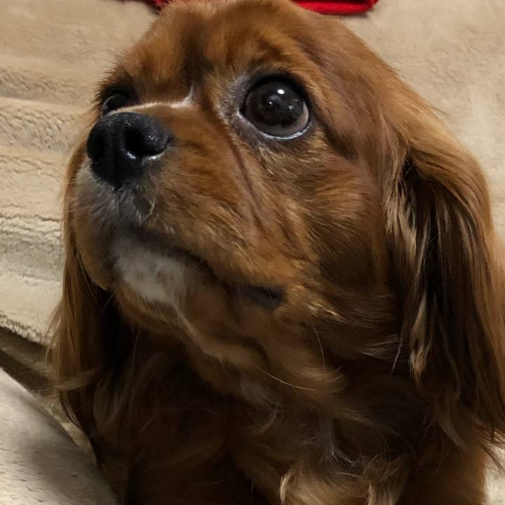 7f5befe3 6eb7 4423 9bd7 07669ffb0809 1557574427502