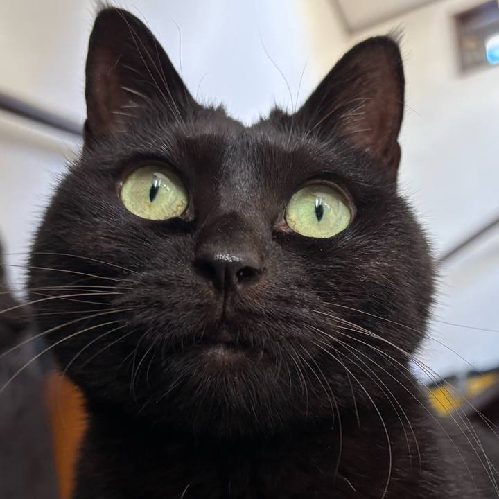 7f5c0642 81b8 41f6 a1b5 b88716cef3a7 1762947014117