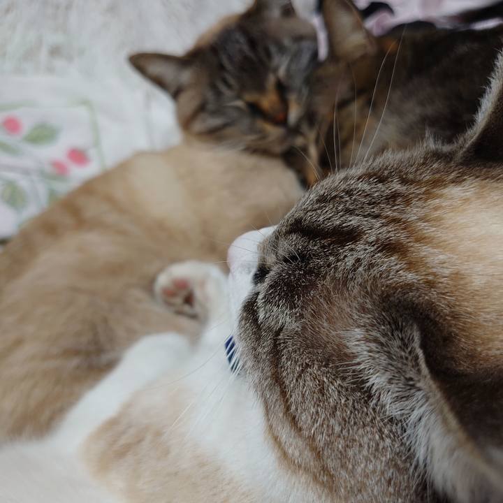 7f5c316c 47b6 4f18 a6d5 cbaa16d919bf 1613914427479