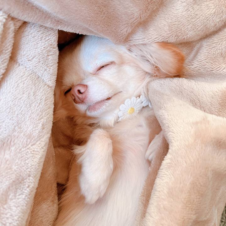 7f5cd1d4 ef2b 4db3 a91e 34b7fea1b50a 1656477354973