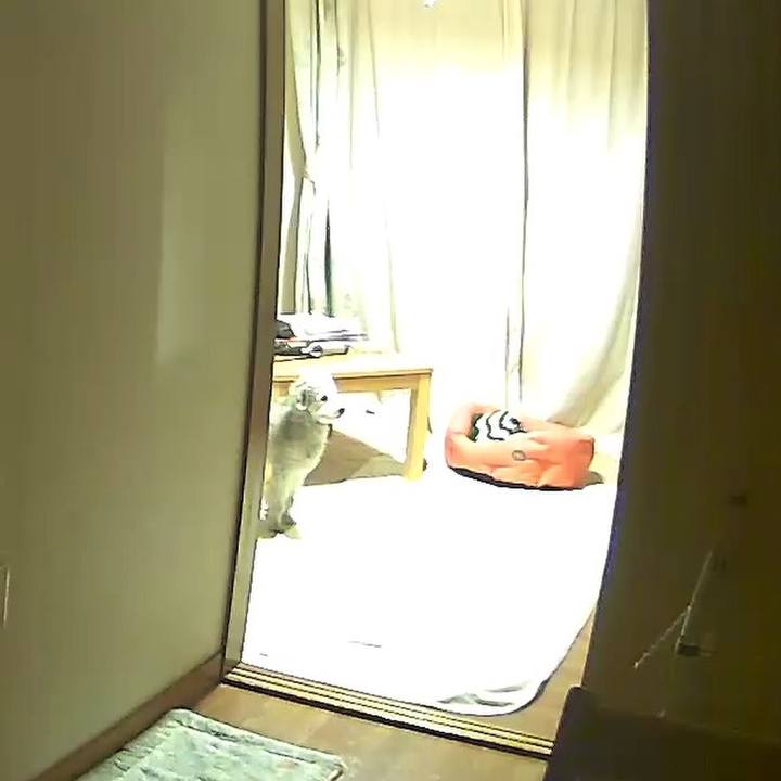 7f5cdfb6 1b72 4880 b0c2 c5c579e898a9 1587723578266