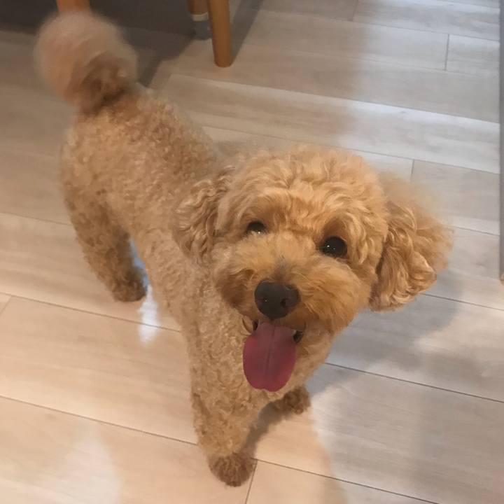 7f5cedcb e55b 46ec 8aa5 649a46c5cc93 1566131855779