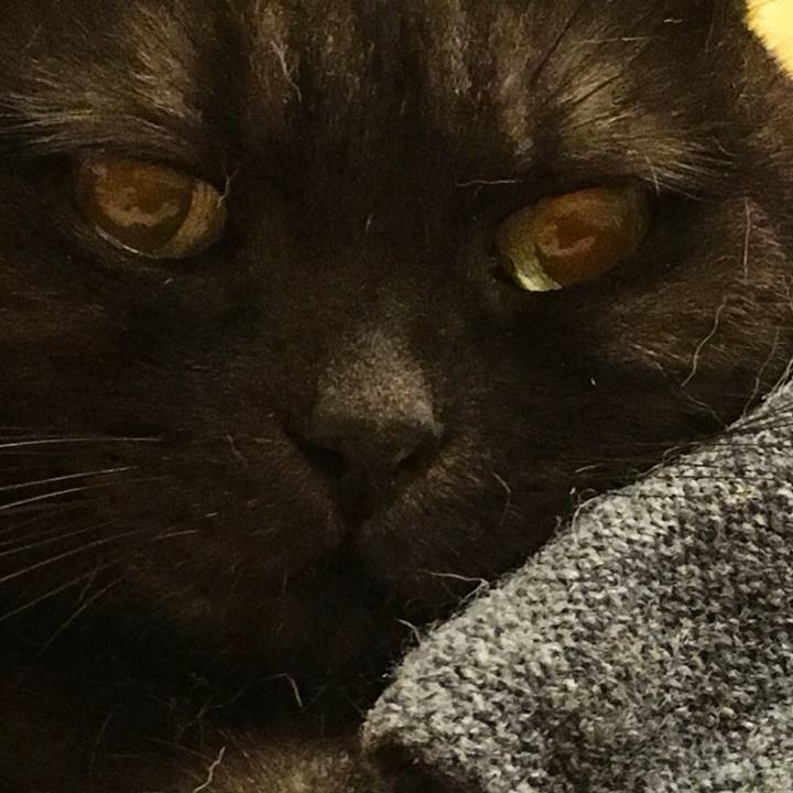 7f5d3b9b 0bb0 4e7d 9f95 a696c2d92924 1539873073056