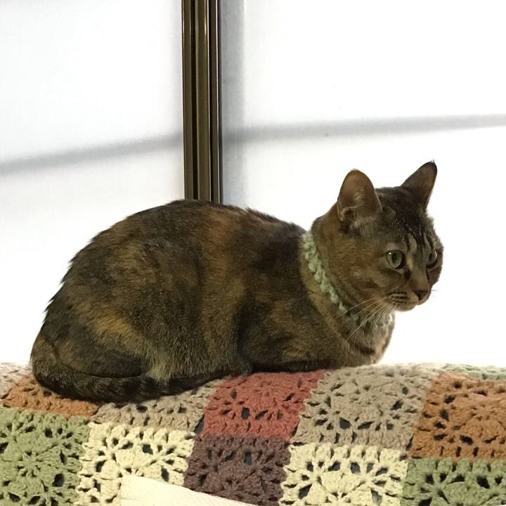 7f5d3df4 dfad 4291 afd2 d01f423a91d4 1644711337247