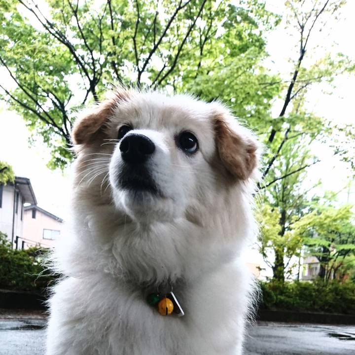 7f5d9e24 0777 4d30 8d2d a65bd2865ab0 1524611311056