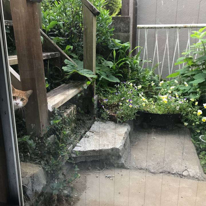 7f5dbf0f 4f7c 43da b700 4c12f5b008b4 1526600760859