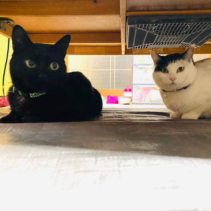 7f5df5e3 8d75 4648 a4aa 76c7914e4555 1650373924769