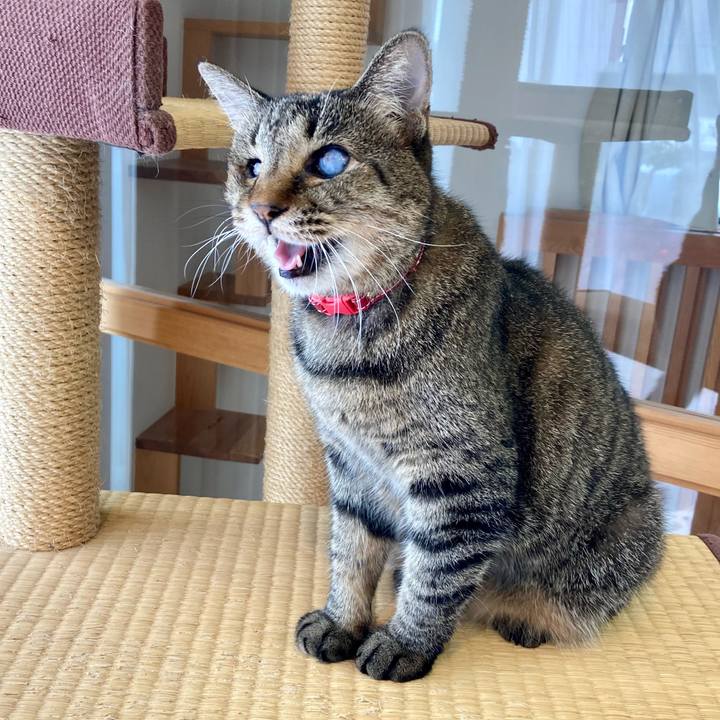 7f5df7ed 3127 4e98 959e 0a6b50ffdda0 1633763414059