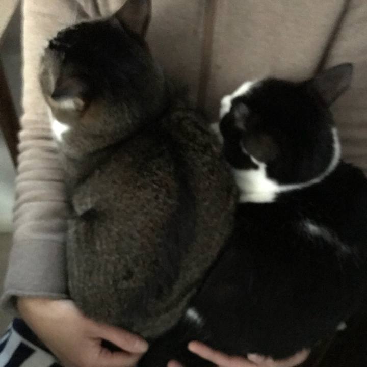 7f5e09e3 fcc3 4832 92b8 03fd0a9e655c 1513601409582