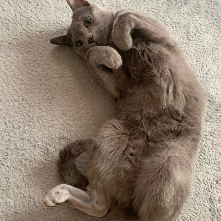 7f5e27a9 79b8 4c97 a0be 605d8db2005b 1623881378430