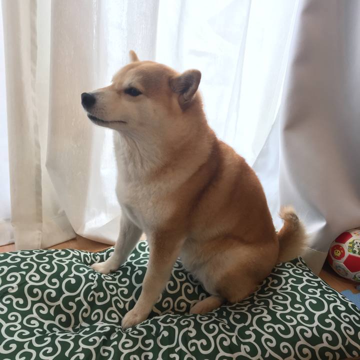 7f5e2ce6 12e7 4d68 aa71 0ed4af2cac53 1547973483530