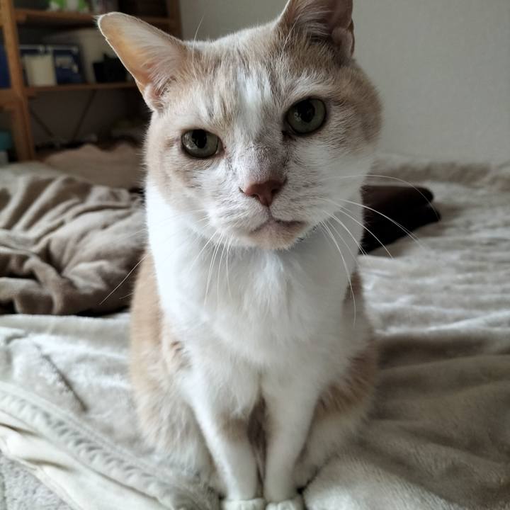 7f5e3f28 79c1 457c 9c70 03ff646755b1 1647903285405