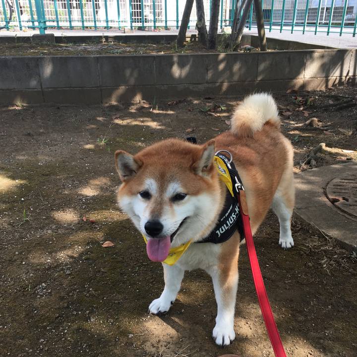 7f5e5ef0 70ee 4b4b 9c39 e3571f82b7b3 1599179576166