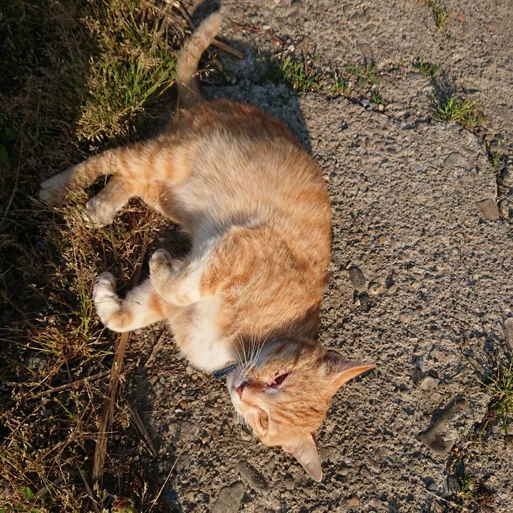 7f5e9c1f a969 4633 b473 8de8d6148234 1558661640777