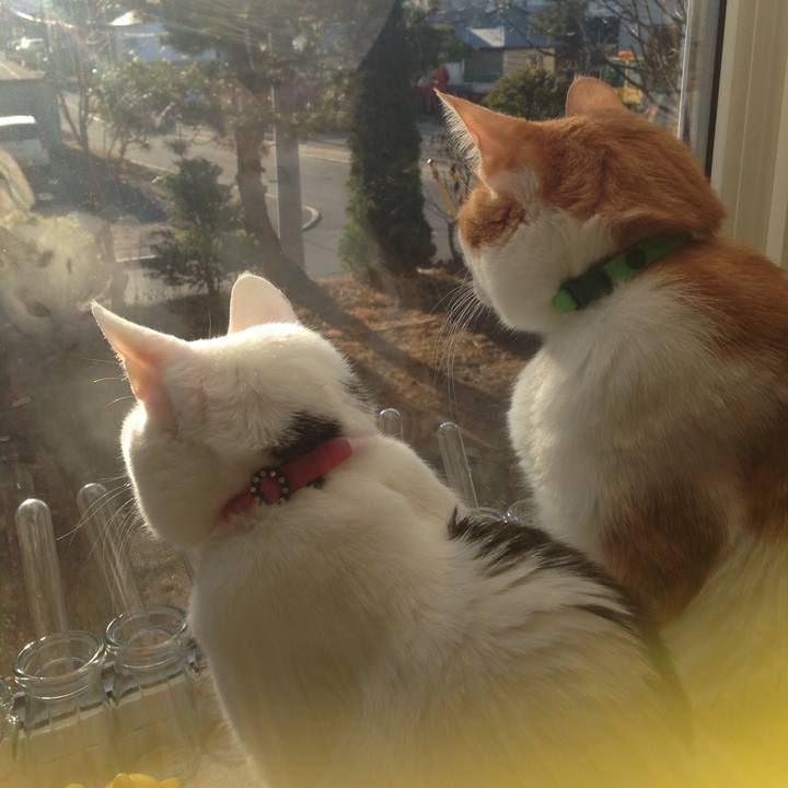 7f5ea08d 01eb 434d 93f3 dd86011768d3 1512171136493