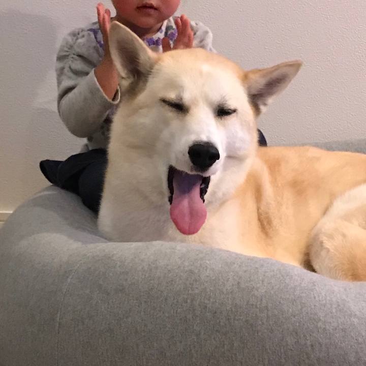 7f5eae43 47f7 4e99 8aaa 8b07d564b238 1514534064323