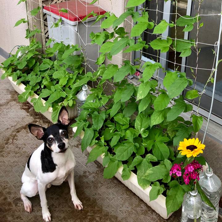 7f5ec26f 3559 4d8b 8e7b eef701c8dda8 1560899286977