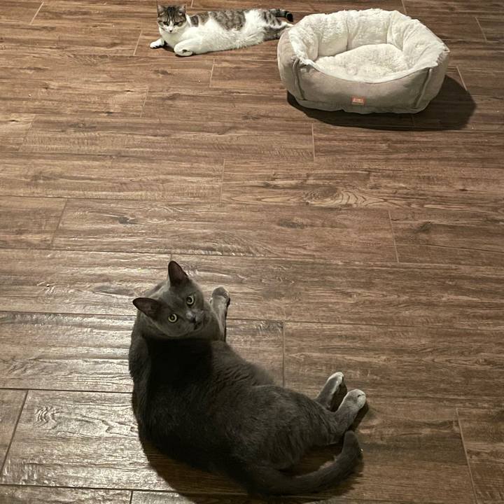 7f5ec43a 3c61 44a4 b478 1c76334544ae 1743982375808