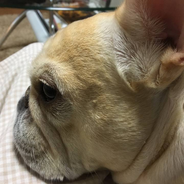 7f5edef1 d7bf 4c76 964d b8505b17616b 1512569413417