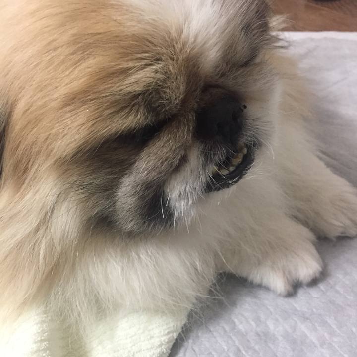 7f5f5c2d 9219 4d75 bf78 8a56a8adff75 1556519893131