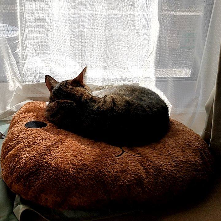 7f5fbb7c 36d6 494a b64c a11c1c3e1589 1674102219303