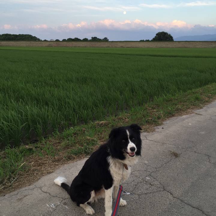 7f5fca3b 76cf 436f af0d d677b8c3cac3 1532812214871