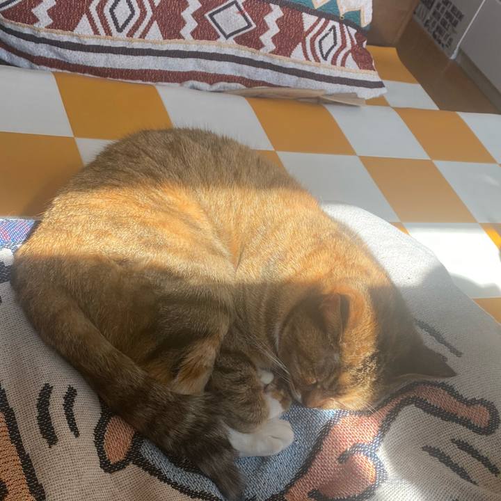 7f5fd727 0920 4cb8 b830 4e1ae60cf9fc 1710040998653