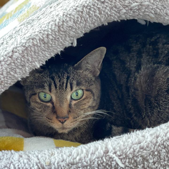 7f60051f 684a 43d7 a8d7 7226a5220646 1616808048480