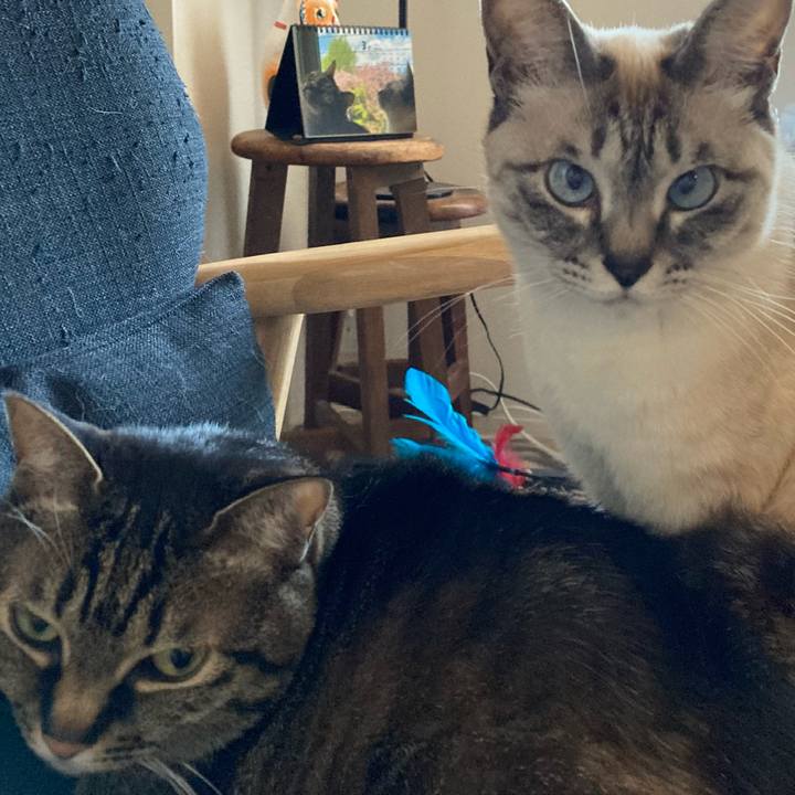 7f600b95 774d 463f 9e95 ff474ebbc7f0 1647384325247